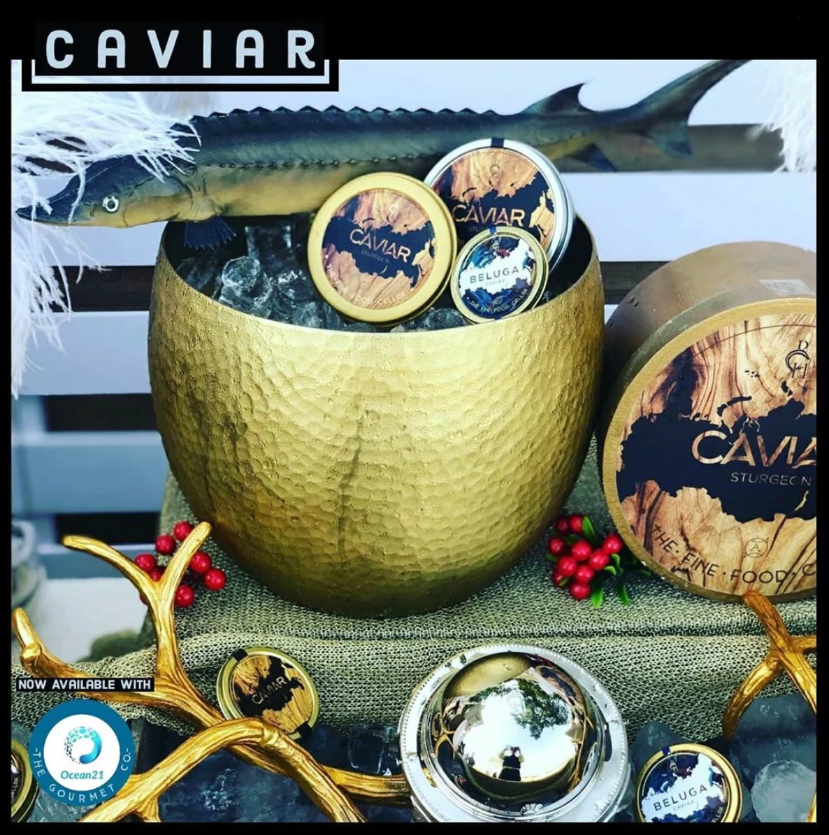 A selection of caviar tins displayed on ice