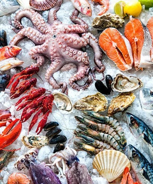 Salmon, prawns, octopus and shellfish on ice
